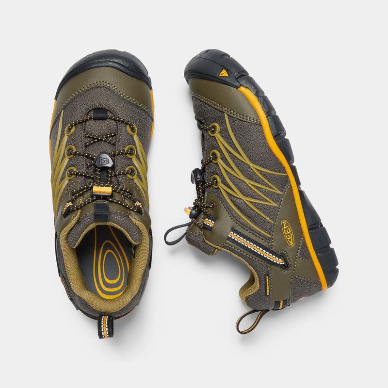 Keen Obuv Dětské | Trekingová Obuv Keen Chandler Waterproof Cnx Tmavě Olivy Zelené (WCEF-32014)